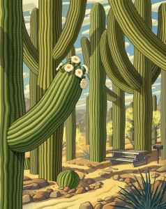 SaguaroNP